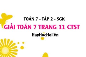 Giải Toán 7 trang 11 tập 2 Chân trời sáng tạo SGK